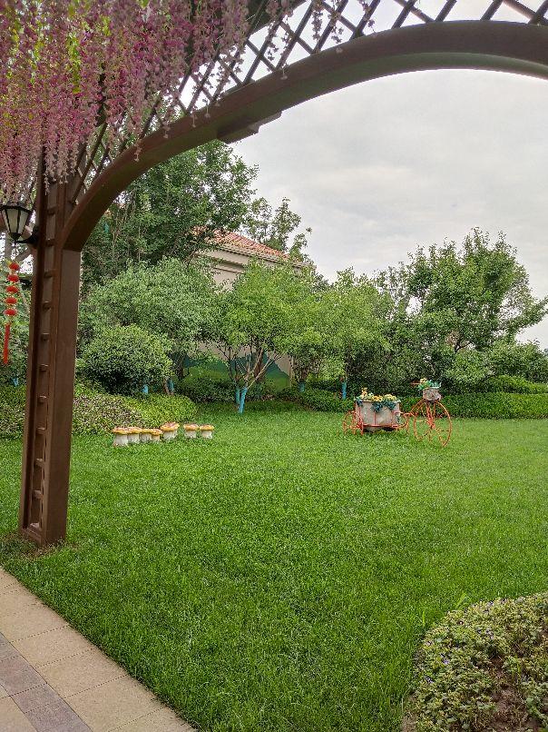 『万丈光芒』西安孩子夏天去哪玩？开车一小时，新增童世界距离乐华城10分钟。