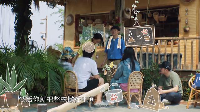 《向往4》黄磊做饭，其他人都在院子里玩，谁注意到彭昱畅了？fun娱乐