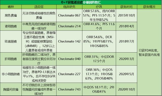 O+Y写入最新NCCN指南！从靶向到免疫，精准抗癌时代到来