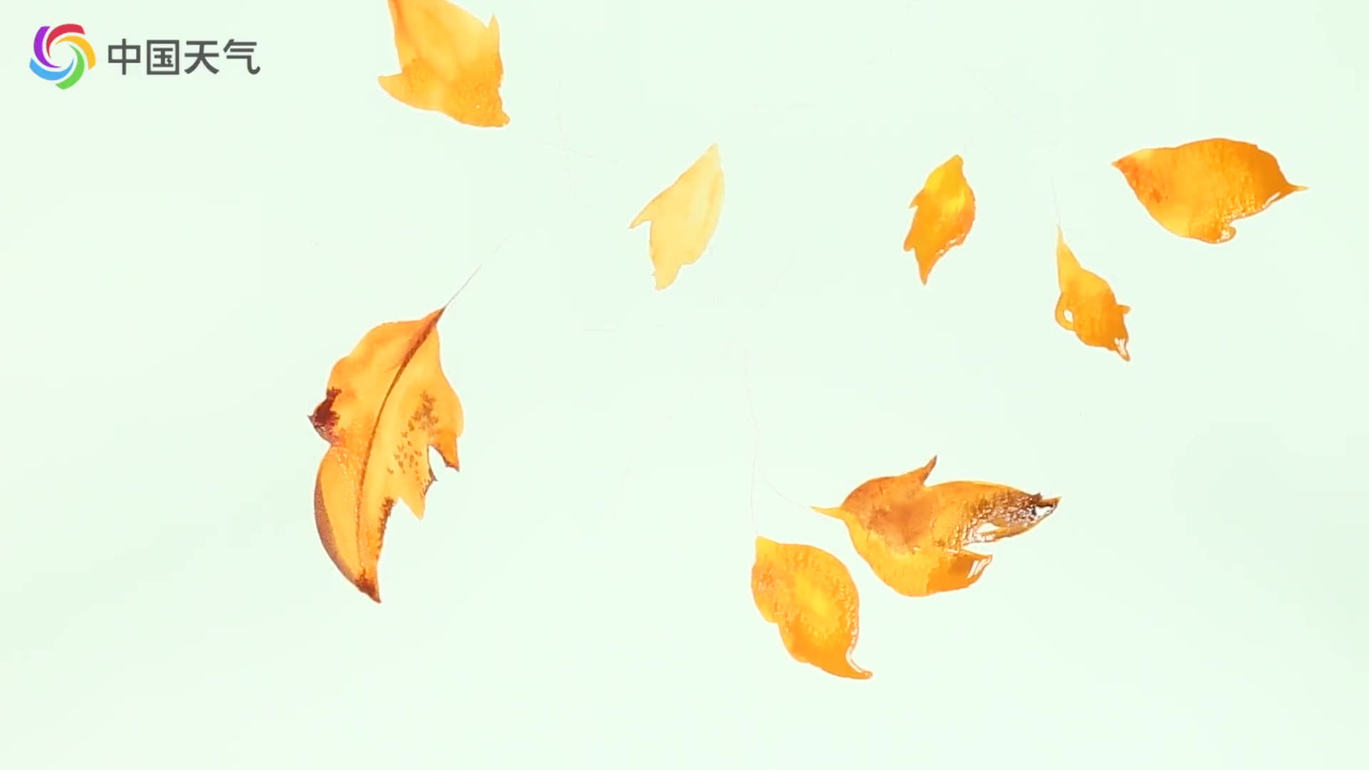 小雪|今日小雪，曼舞盼君来