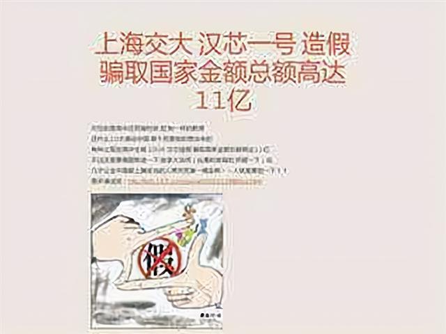 骗取11亿研发资金，导致我国芯片停滞13年的罪人，下场如何？