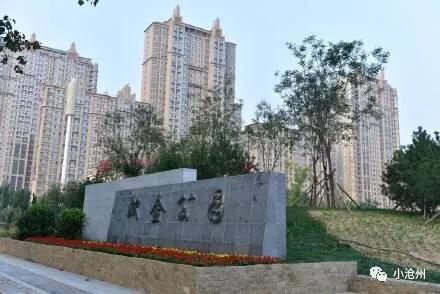 趣旅游@【沧州发布】：继狮城公园、新华、长芦公园开放后，名人植物园赏郁金香，还有这些公园陆续开放