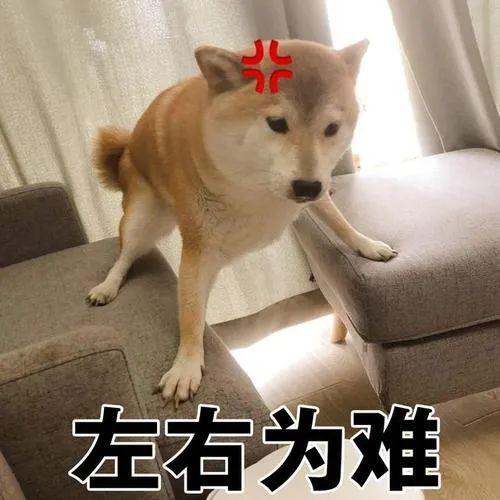 真香预警！最新最全上海老字号“半成品年夜饭”大盘点！在家吃出网红老饭店米道