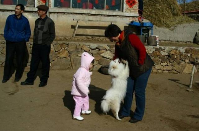 #你的育儿经#父母是孩子的老师:别让父辈的爱,坏了孩子的未来
