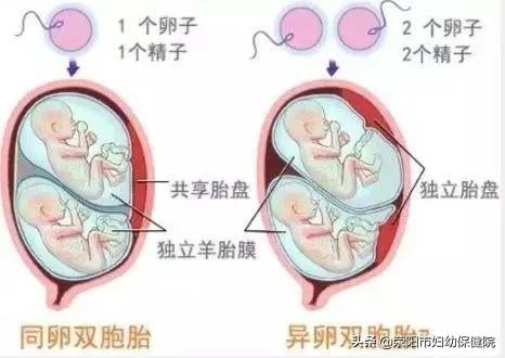 「你的育儿经」“争地盘”,从妈妈肚子里开始