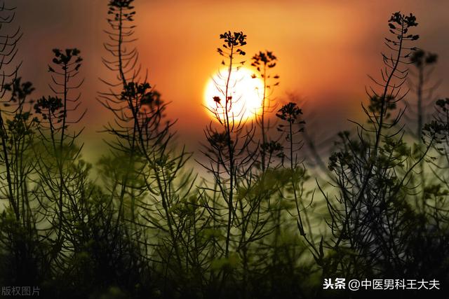 经常感觉腰疼，是不是肾虚了？