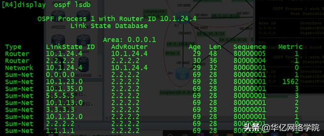 OSPF特殊区域配置及汇总