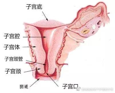 超级宝妈：怎样辨别产后子宫复旧是否良好