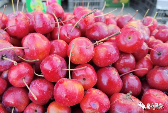 齐齐哈尔关注：“冻味”，咱克东人“家乡”的味道