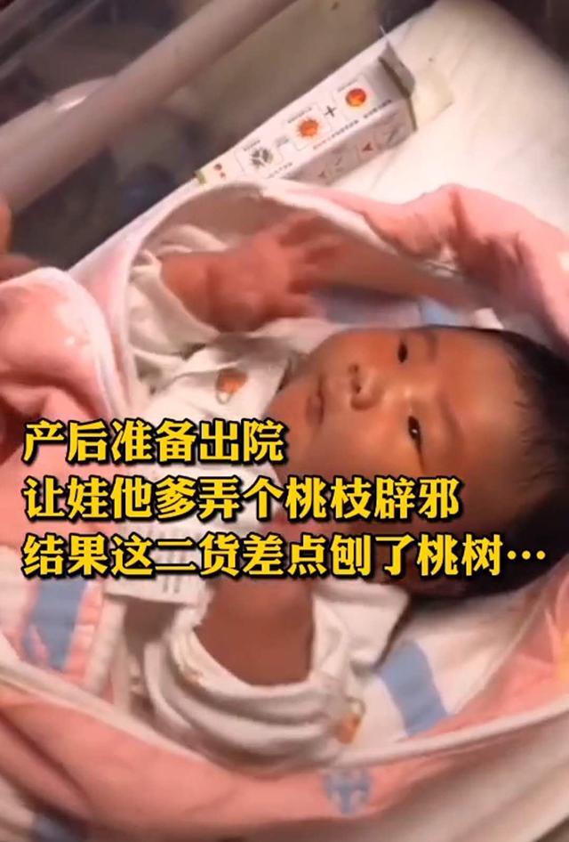 超幸福一家|“最憨厚爸爸”扛着桃枝，来医院迎接宝宝回家，网友：果然是亲爹