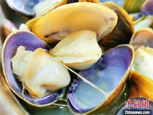 黄沙|广东侨乡江门清明“黄沙蚬”肉肥味鲜 食客接踵而至