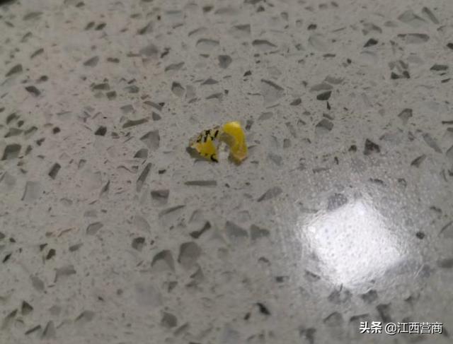 『你的育儿经』美素佳儿奶粉出现塑料异物记者介入后消费者获赔