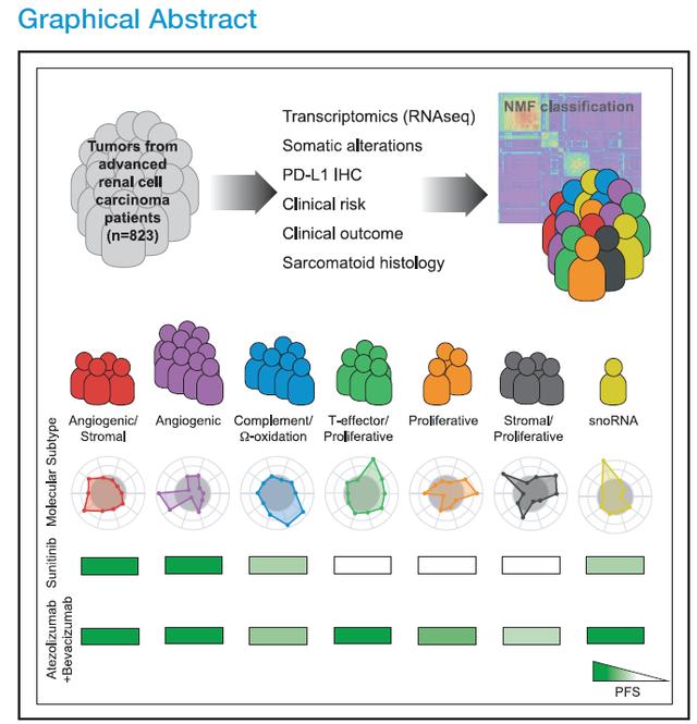 「RCC文献月评-9」专家领读肾癌领域最新文献及研究进展