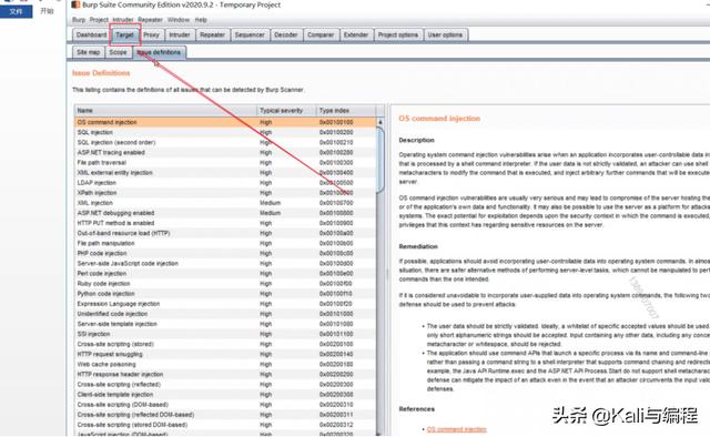 网络安全工程师演示：黑客是如何安装BurpSuite渗透软件