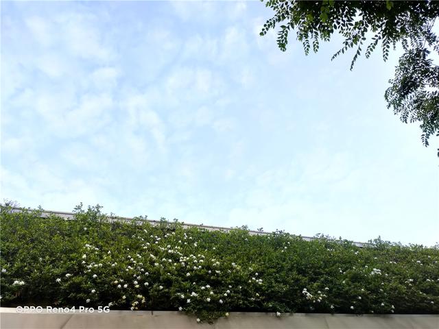 防抖升级 夜拍更强 OPPO Reno4 Pro 快速上手