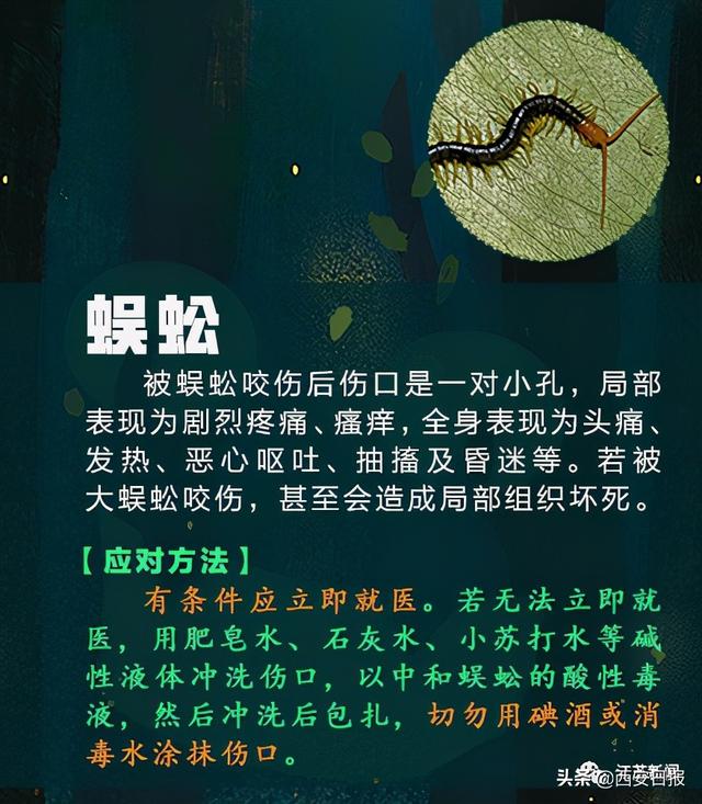 蜈蚣|被这种虫子咬一口，女子窒息身亡！被咬后千万别这样做