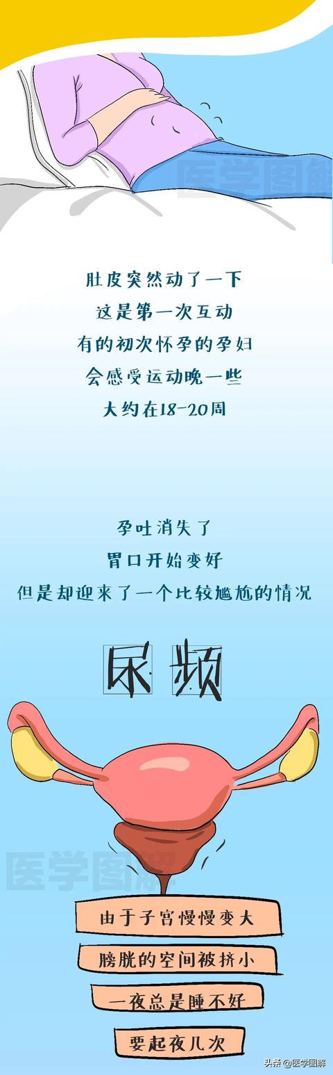 「超级宝妈」怀孕到生产的过程图,帮你猜透孕期女人心理(上篇)丨医学图解