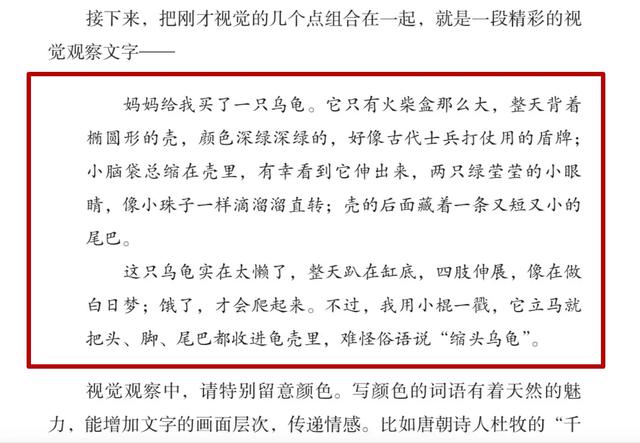 你的育儿经|孩子作文写不好，不是阅读量不够，而是你教的方法80%都是错的