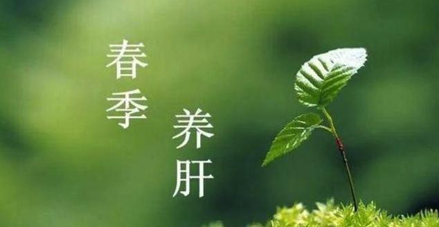 人体|春季最适合养肝 饮食上宜温补