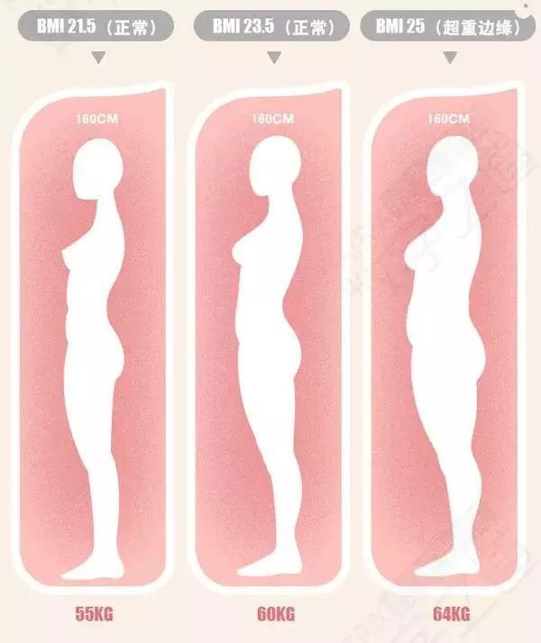 肥胖女性仅仅是不好看吗？还要警惕多种癌症风险