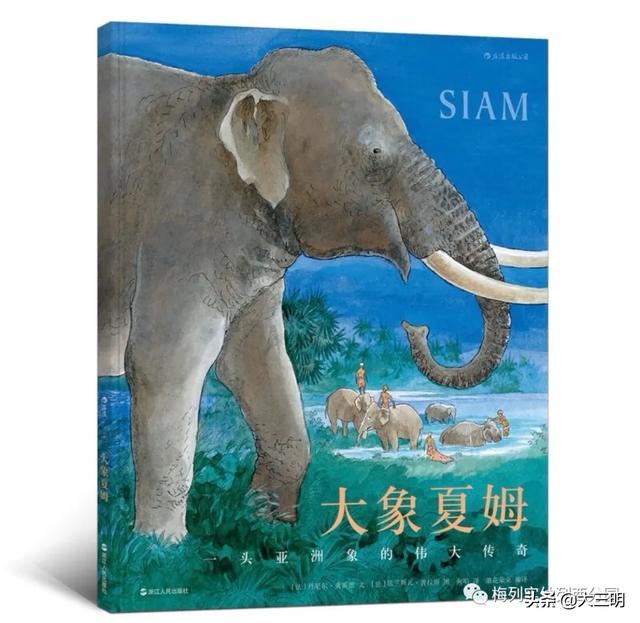 「你的育儿经」敬畏自然 行有所止——梅列实幼列西分园与你一起期待春暖花开