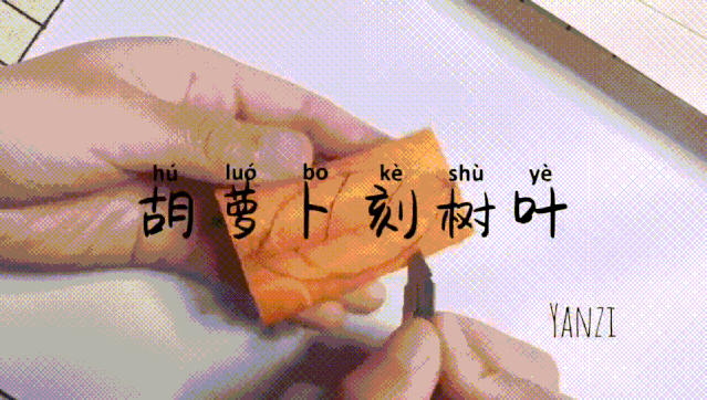 【上观新闻】家里的自然课(二十三)|解锁超好玩的蔬果拓印画!(上)