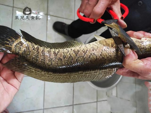 爆炒鱼片，不要直接下锅炒，教你正确做法，鱼片滑嫩鲜香又完整