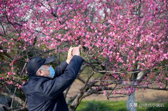 趣旅游■我市的这些景区开放啦！春暖花开的季节一起拥抱大自然