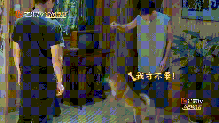 你以为任嘉伦是话痨？那只是掩盖尴尬的方式|影视交流地