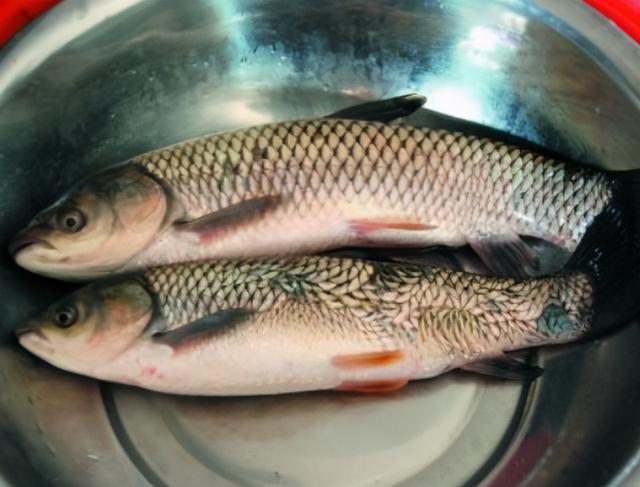 腌咸鱼时，别直接抹盐腌，多加1个步骤，咸鱼咸香入味，更易储存