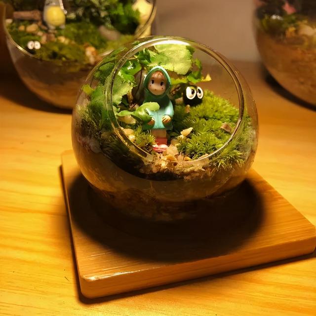 路边野草，种盆里变成值钱盆景，超好养还好看