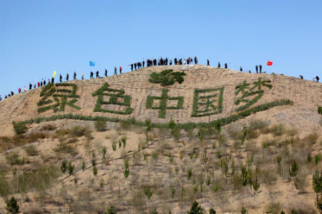 德国媒体：中国太淳朴，不知沙漠植树的危害，还算是环保大国吗？