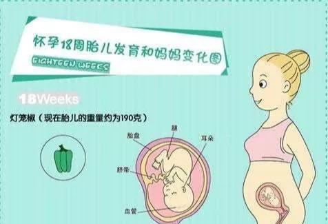 『你的育儿经』幸孕的奇迹120天