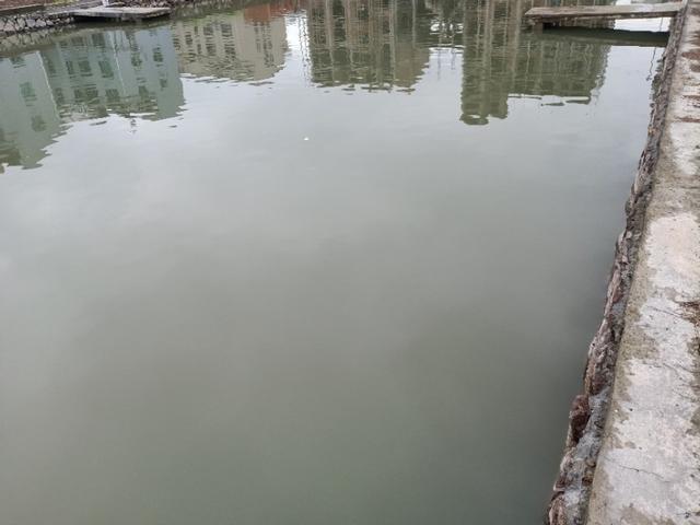 「你的育儿经」夏季天气炎热，小孩爱嬉水，预防小孩溺水是关键，家长们值得借鉴