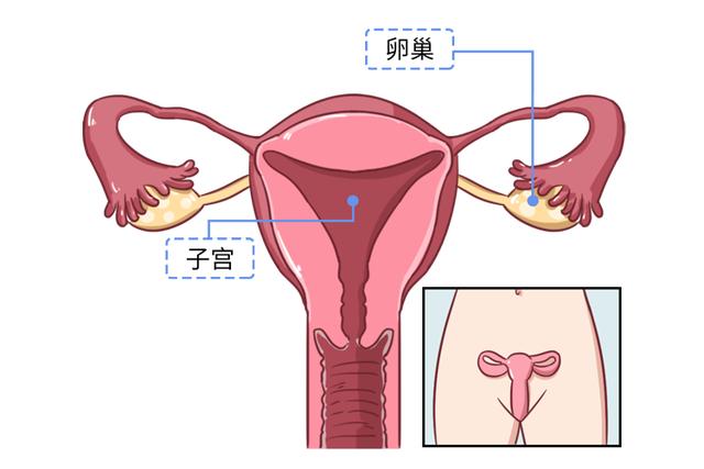 未婚少女能做妇科检查吗？那层膜会不会破？建议看一看