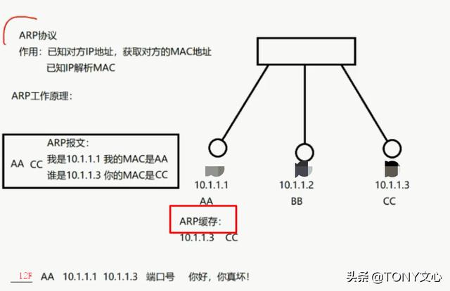 ARP协议及ARP中间人攻击(TCP/IP协议)