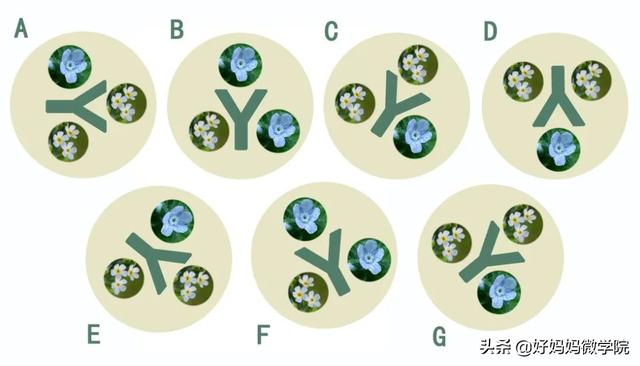 #超级宝妈#你认识路边那些星星般的蓝色小花?别再用“不知道”打发孩子了