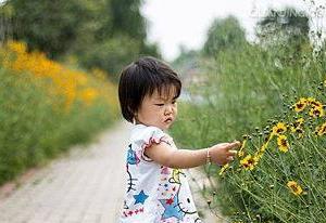 #超级宝妈#特色幼儿园的特色？是高人一等的教育还是一笔可观的智商税？