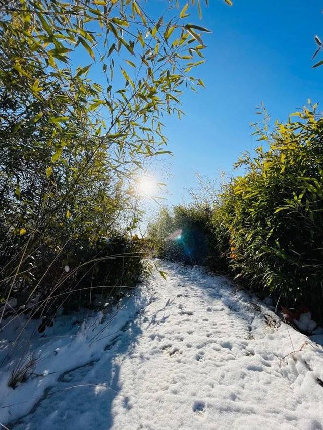 雪粉华，舞梨花，海天一色舞面纱！山东外事职业大学迎今冬首雪