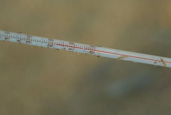 宁波|这口宁波人喜欢的鲜，最佳品尝季到了