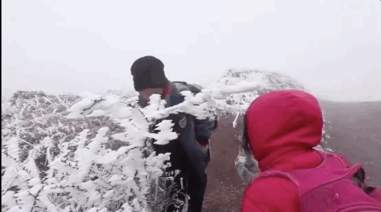 40岁二胎妈妈凌晨发朋友圈；撑了好久，我熬不下去了