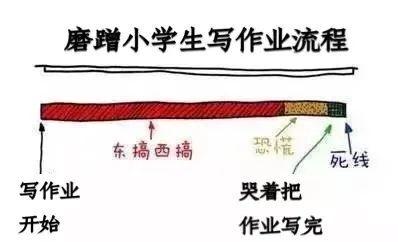 人类幼崽是怎么把磨蹭做到全国统一的？不忍直视哈哈哈