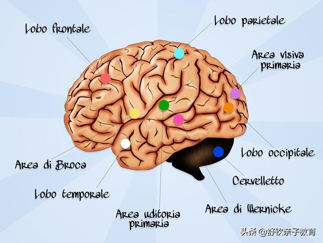 谈天说地|育儿系列知识:别忽视孩子的大脑健康(四)