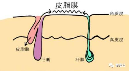 捣蛋鬼|悄悄告诉你，有一种痘痘是晒出来的