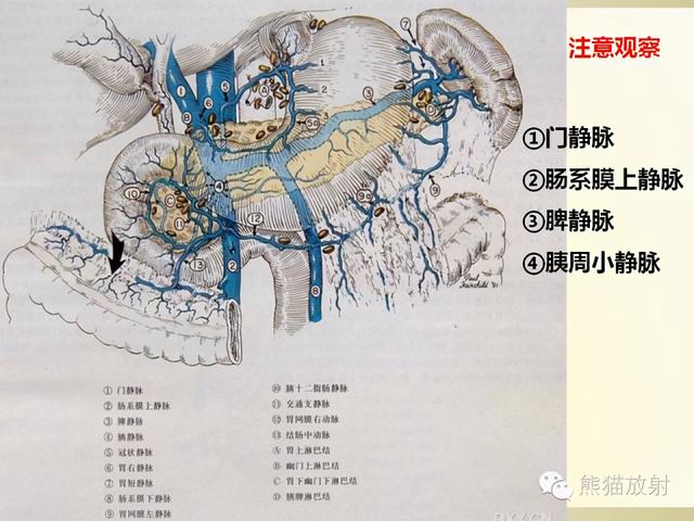 胰腺CT增强扫描、血管评价及病变诊断