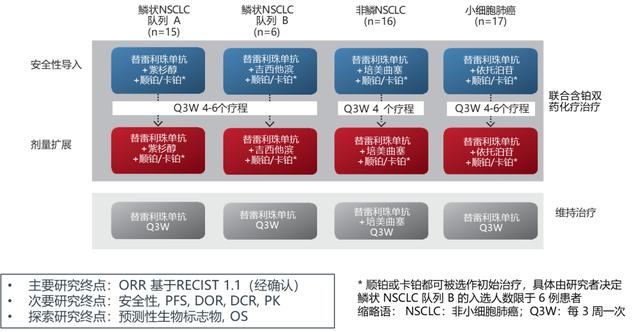 2020ESMO IO|刘喆教授：RATIONALE 206（替雷利珠单抗联合化疗一线治疗中国晚期肺癌患者Ⅱ期临床研究）更新解读