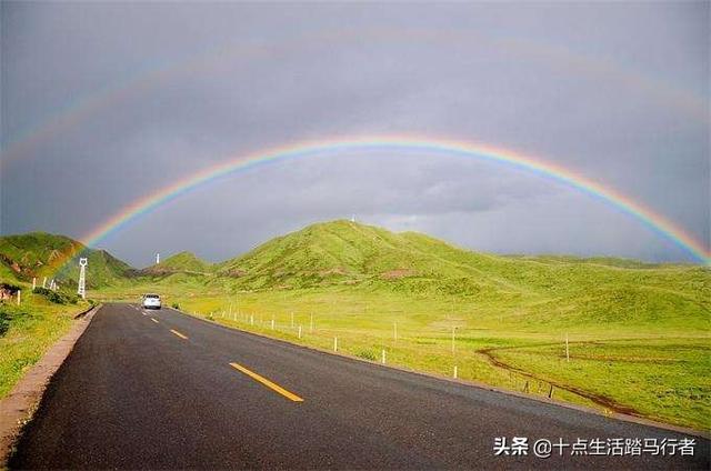 『旅行柚子君』旅行日记——昭苏大草原