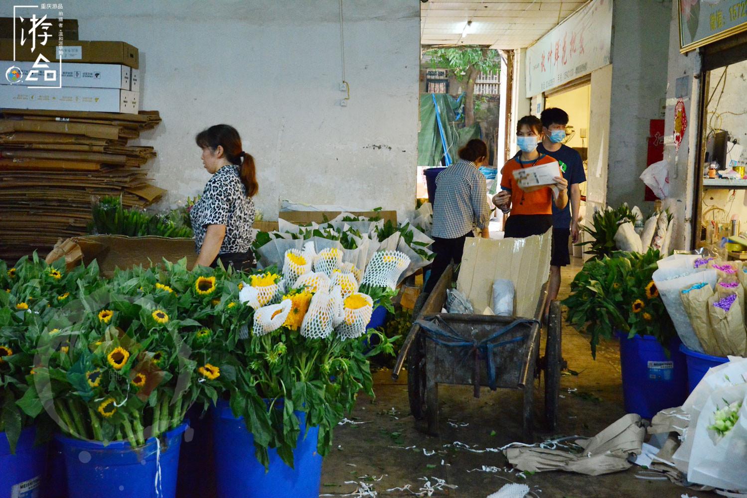 大溪沟|“漂在”重庆码头边的花市：位置偏僻环境差，但价格应是主城最低的