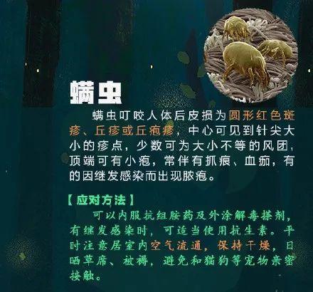 [光明网]高烧不退，严重可致命！青岛又有孩子中招！这个“小黑点”千万别大意