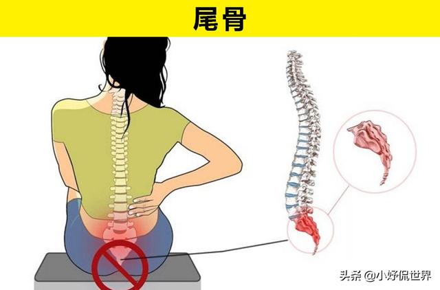 在不久的将来，人类的身体可能会失去的7个部分